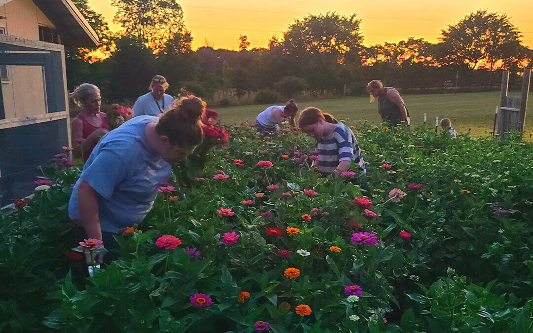 Family Farm Experience